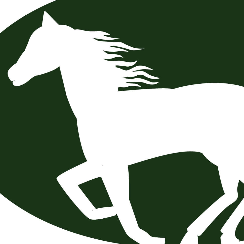 Horse Valley, 50th Anniversary, Logo Design