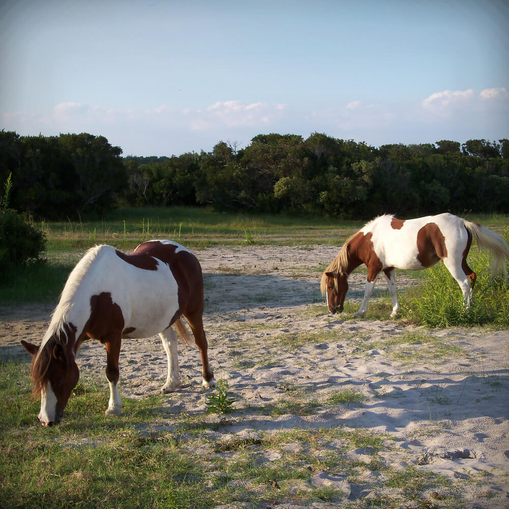 Assategue-Island