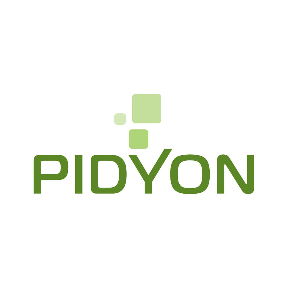 PIDYON Logo Design