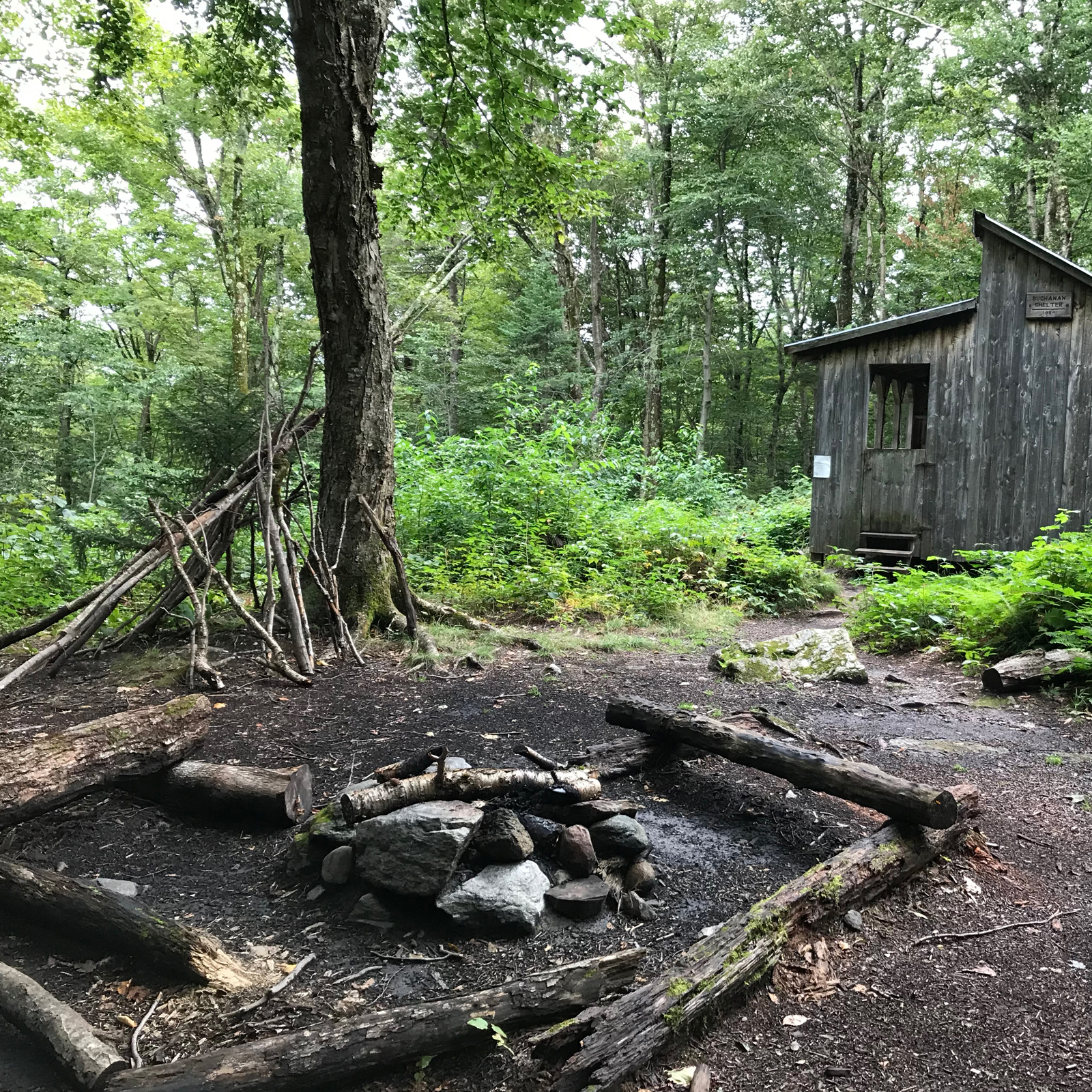 Buchanan Shelter along the Long Trail